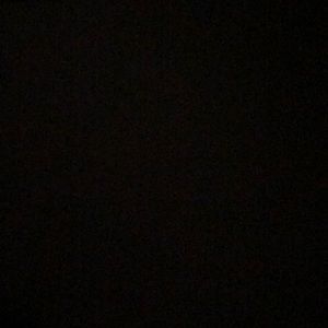 Meet your Posher, Darrell